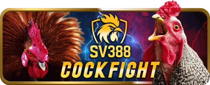 Cá cược Tennis hp88 win
