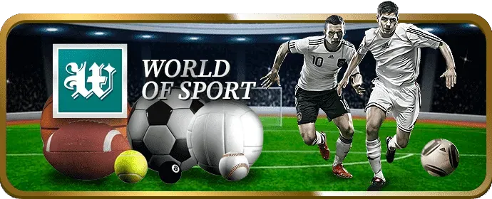 Cá cược bóng đá hp88 win